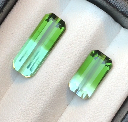 Beautiful Bicolor Tourmaline